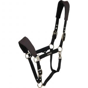 Licol pour cheval Catago FIR-Tech