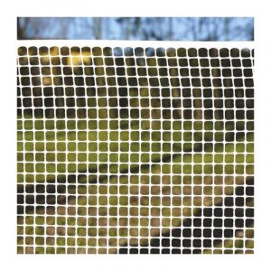 Verdelook Filet 10 x 10 carré à Bords Non coupants, Dimensions 1 x 5 m, Couleur Blanche