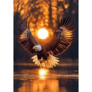 Art Puzzle Puzzle 1000 pièces : Ailes du Soleil