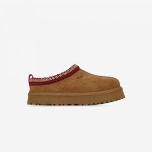 Tazz Camel - Enfant -