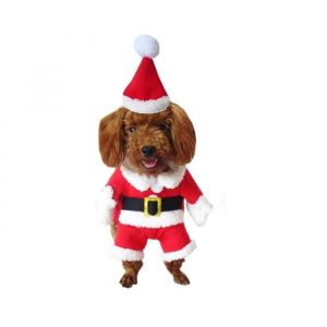 Costume pour chien de no&euml;l d&eacute;guisement petit chien