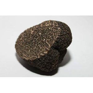 Image de Mycélium de Truffe Noire du Périgord Kit de culture champignons (Tube, 50ml)