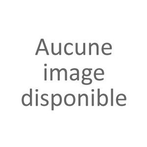 Image de Diager 110ED10L0160 - Foret marteau SDS plus D 10 LT 160 (boîte de 10 FS)