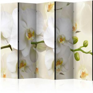 Image de Artgeist Paravent 5 Volets "Orchid Branch" 172x225cm