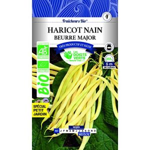 Les doigts verts Haricot Major Bio