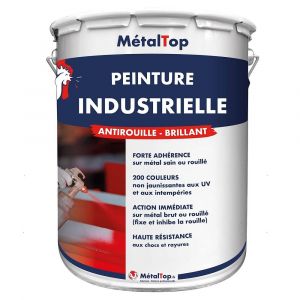 Peinture Industrielle - Noir graphite - RAL 9011 - Pot 1L