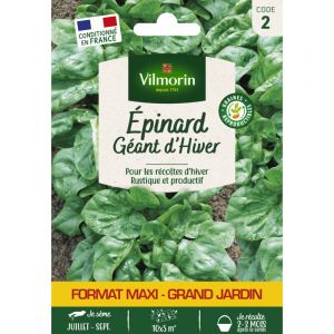 Vilmorin Epinard géant d'hiver