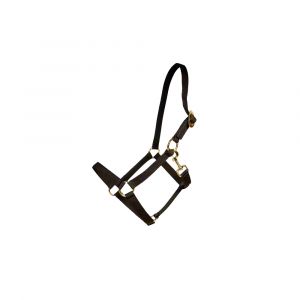 Licol pour cheval nylon Kentucky