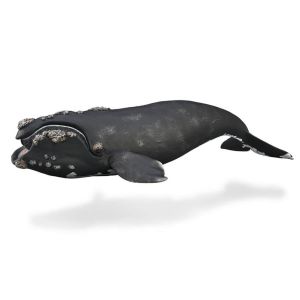 Collecta Figurine Animal Marin (XL): Baleine franche