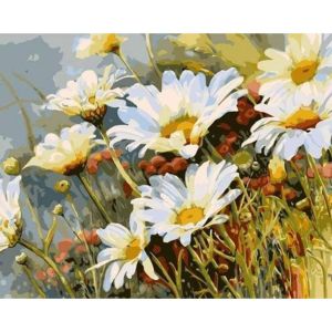 Figured'Art Peinture par Num&eacute;ro Adulte Champ de Marguerites - Activit&eacute; Manuelle Kit de Loisir Cr&eacute;atif DIY Num&eacute;ro d'Art Complet - 40x50cm sans ch&acirc;ssis en bois