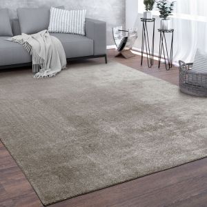 Paco Home Tapis, Tapis &Agrave; Poils Ras Doux Pour Salon, Tr&egrave;s Moelleux, Lavable, Gris 140x200 cm