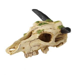 Accessoire de terrarium crâne de carabao Terra Della