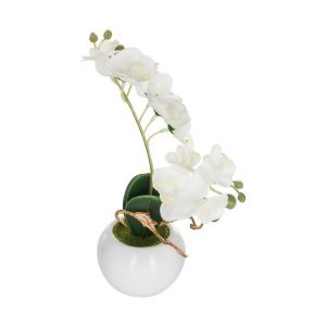 Atmosphera Orchidée en pot céramique h25 D, 9 x H, 30 cm / PO : D, 9 x H, 6,5 cm Blanc