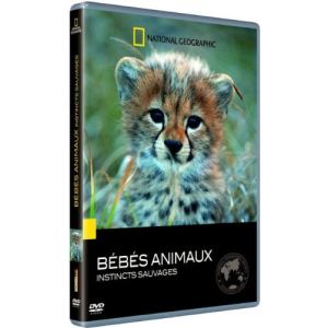 Bébés animaux : Instincts sauvages