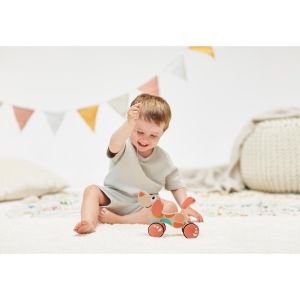 Hape Jouet Chien Puppy Edition limitée MULTICOLORE