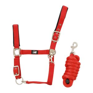 Supreme Ensemble licol en nylon et longe tressé pour cheval