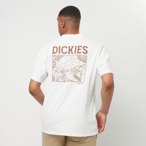 Dickies Patrick Springs Shortsleeve Tee - Couleur Blanc - Taille S