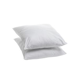 Lot de 2 oreillers moelleux Anti punaises de lit 60x60cm