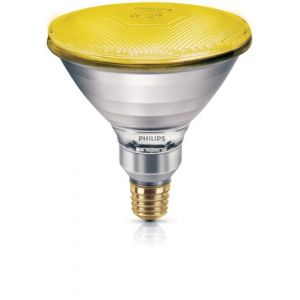 Image de Philips Ampoule Par38-80W jaune