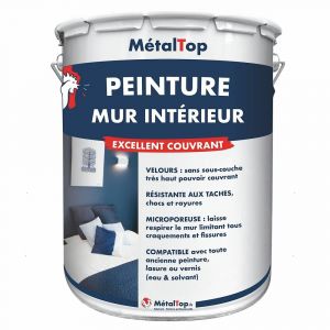 Peinture Mur Interieur - Brun chocolat - RAL 8017 - Pot 5L