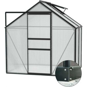 Vitavia Serre de jardin en polycarbonate 6 mm et aluminium noir avec embase ve