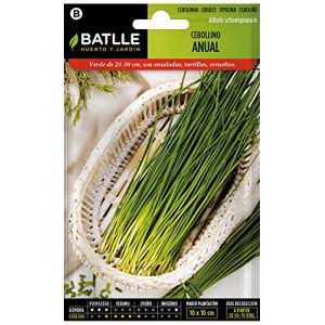 Batlle Graines aromatiques de - Ciboulette annuel (Seeds - 25-30cm)