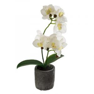 Image de Plante Artificielle "Orchidée" 33cm Blanc Prix