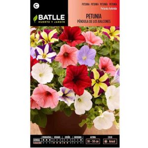 Batlle Graines De Pétunia Retombant Des Balcons, Varié