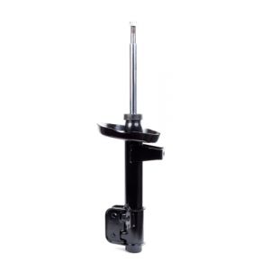 NPS 1 amortisseur M490I222