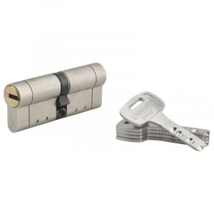 THIRARD Cylindre de serrure double entrée Federal s, 42x42mm, nickel, anti-arrachement, anti-perçage, 5 clés