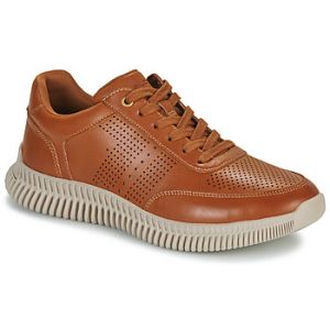 Aldo Baskets basses RIOGA Marron - Taille 44