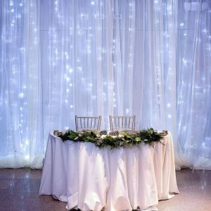GRAND RIDEAU LUMINEUX 3X3m LUMIÈRES DENSES LED POUR MARIAGE BLANC FROID 230V