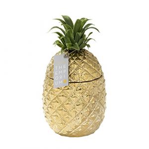 Image de Talking Tables Pineapple Ice Bucket