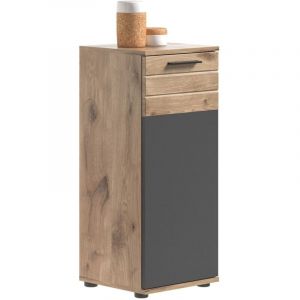 Meublorama - Meuble de rangement 1 porte – Gris anthracite et chêne clair – selma