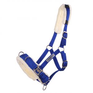 Caveçon pour cheval QHP