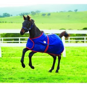 Weatherbeeta Couverture - Cheval (65 cm) (Bleu marine / rouge / blanc) - UTWB1213