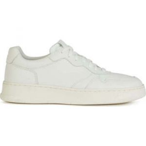 Geox Baskets basses Arvier cuir