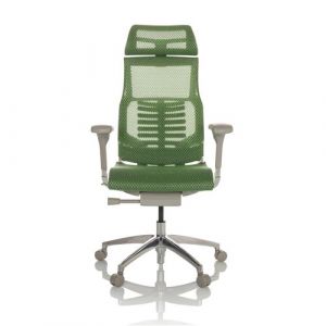 hjh OFFICE Chaise de Bureau Professionnelle DYNAFIT II G Filet Chaise pivotante Ergonomique avec Soutien Lombaire Flexible, Vert, 652283