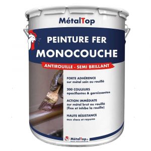 Peinture Fer Monocouche - Bleu outremer - RAL 5002 - Pot 1L