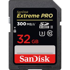 Sandisk SDSDXPK-032G-GN4IN - Carte mémoire SD 32 Go