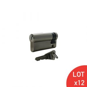 Image de Secury T Demi cylindre 90mm varié laiton poli 3 clés laiton nickelé LOT DE 12