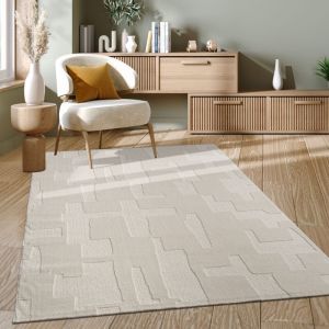 Tapis Salon Chambre Adulte Poil Long Shaggy Motif Scandinave Motif Boho Uni 160x230 cm, Cr&egrave;me 2 - Paco Home