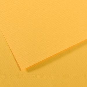 Canson 25 Feuilles de papier dessin mi-teinte 160 g (50 x 65 cm)