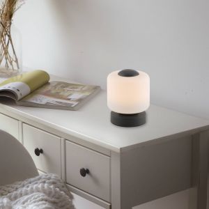 Paul neuhaus Bota Lampe de table LED avec variateur, 4037-13,