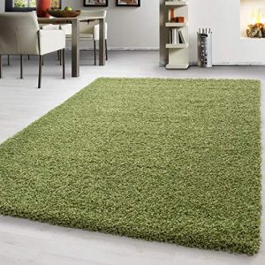 Teppium Uni Tapis de Salon Shaggy Uni Tapis Vert 300x400 cm Chambre Tapis Poil Long Moelleux et Doux