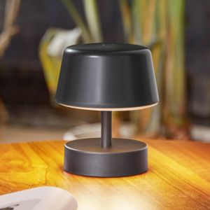 Lindby - led Luminaire de terrasse (Avec variateur d'intensité tactile) à intensité variable 'Nalani' en métal
