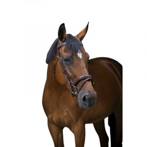 Eric Thomas Bridons équitation pour cheval PRO "Wave"