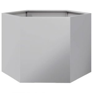 VidaXL Jardinière hexagone 69x60x45 cm acier galvanisé