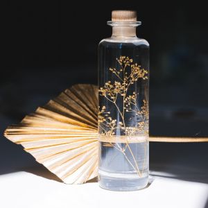 Th&eacute;ophile Berthon Plante immerg&eacute;e Gypsophile or H23