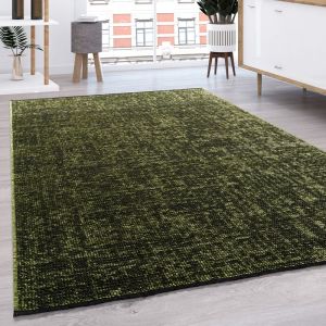 Paco Home - Tapis De Salon Tissage Plat Moderne Uni Pastel Franges Vert, 120x160 cm